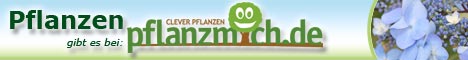 Pflanzen aus der Baumschule online kaufen - pflanzmich.de